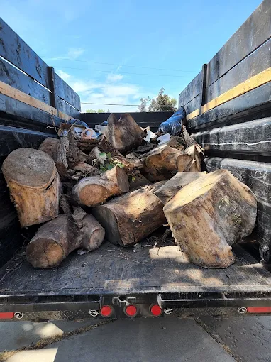 Bulk Item Removal in Salt Lake City