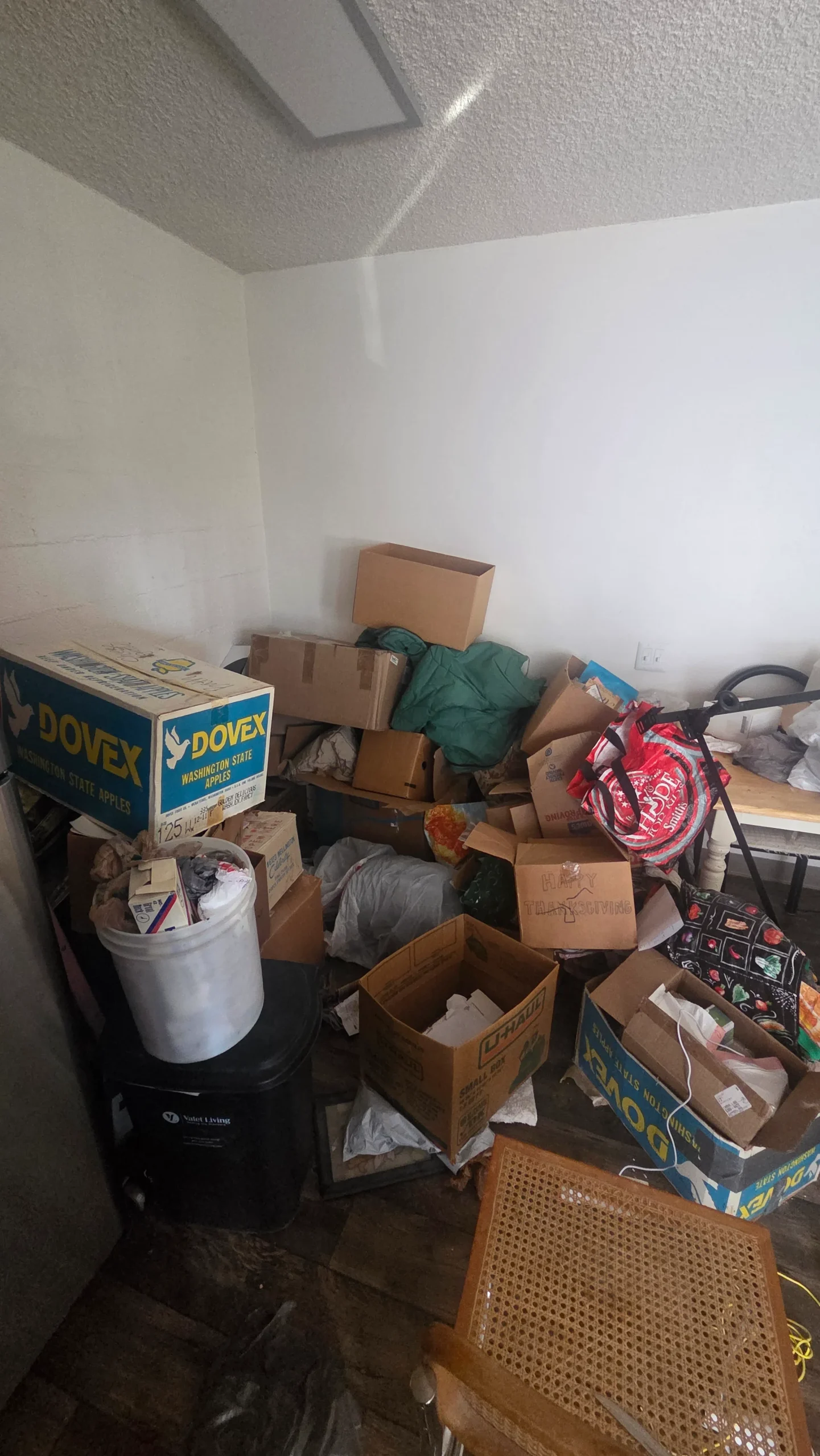basement junk removal